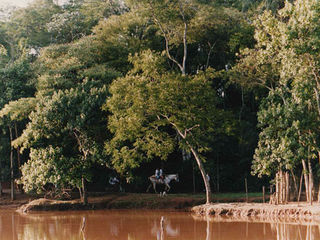 Maurício de Souza