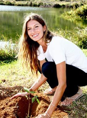 MEIO AMBIENTE: Gisele Bündchen no Brasil...