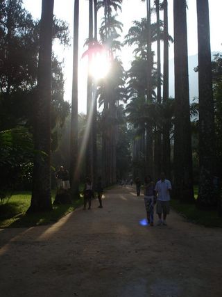 Passeio com meus pais e irmãos no Jardim Botânico.