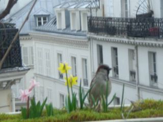 Vista do quarto de Priscila Fantin em Paris