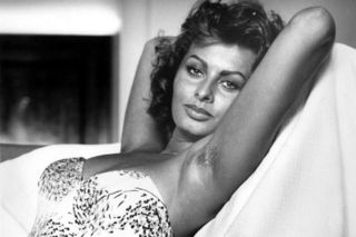 Sophia Loren