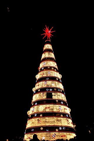 Árvore de Natal do Parque do Ibirapuera, em São Paulo