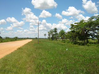 Thaíssa Carvalho - Pantanal