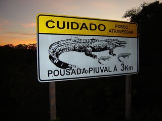 Thaíssa Carvalho - Pantanal