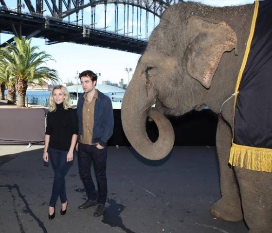 Reese e Pattinson ao lado de um elefante em Sydney