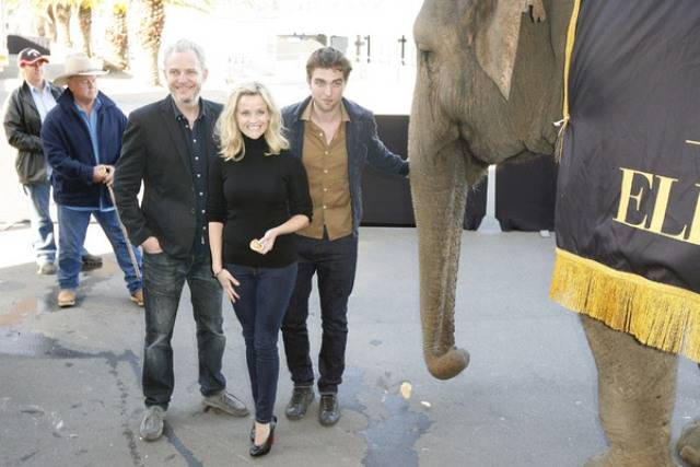 Reese e Pattinson ao lado de um elefante em Sydney