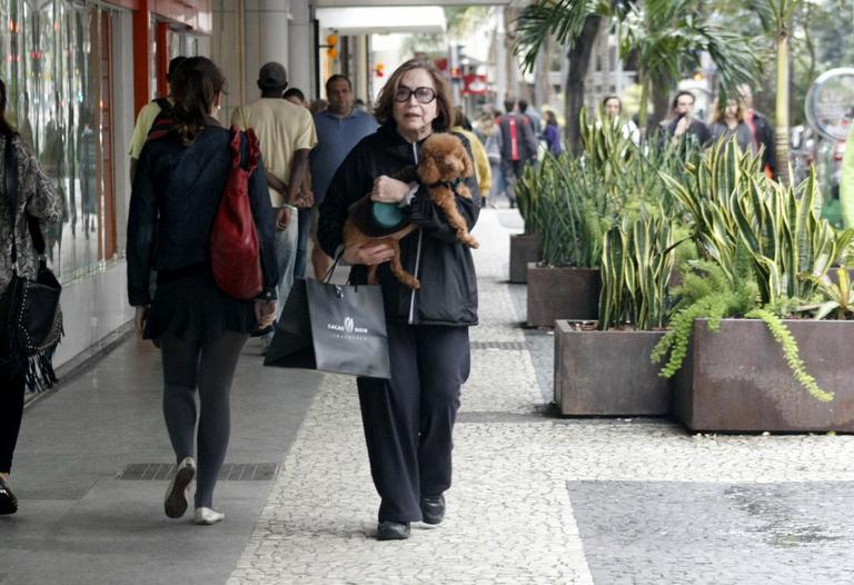 Nathália Timberg passeia com cachorro pelo Rio de Janeiro