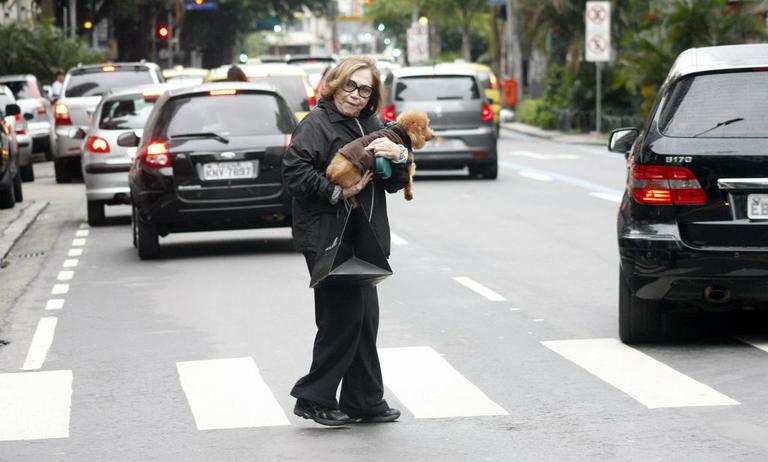 Nathália Timberg passeia com cachorro pelo Rio de Janeiro