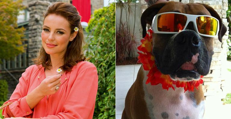 Paola Oliveira mostra seu cachorro pronto para a folia