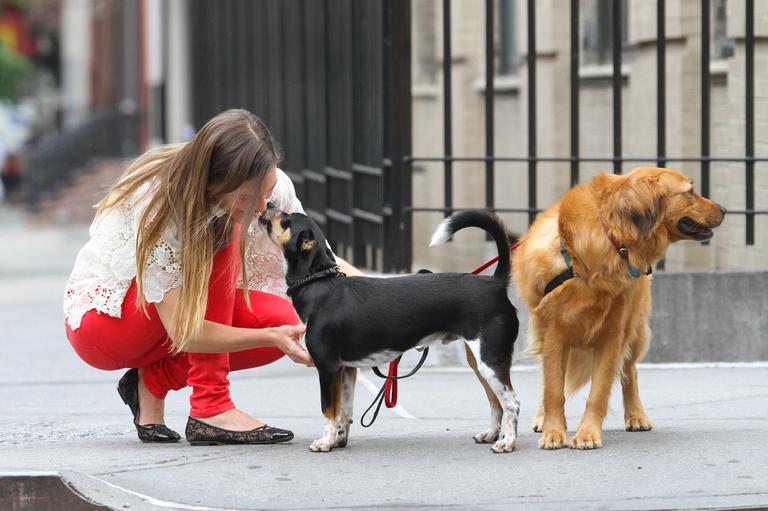 Hilary Swank com seus cães em Nova York