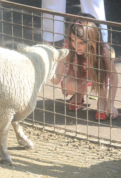 Suri e Katie Holmes se divertem no zoológico de Nova York