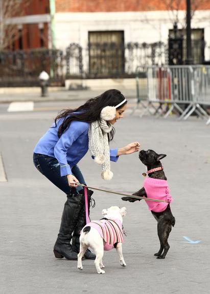 Fofura: Vanessa Hudgens com seus cães nas ruas de Nova York