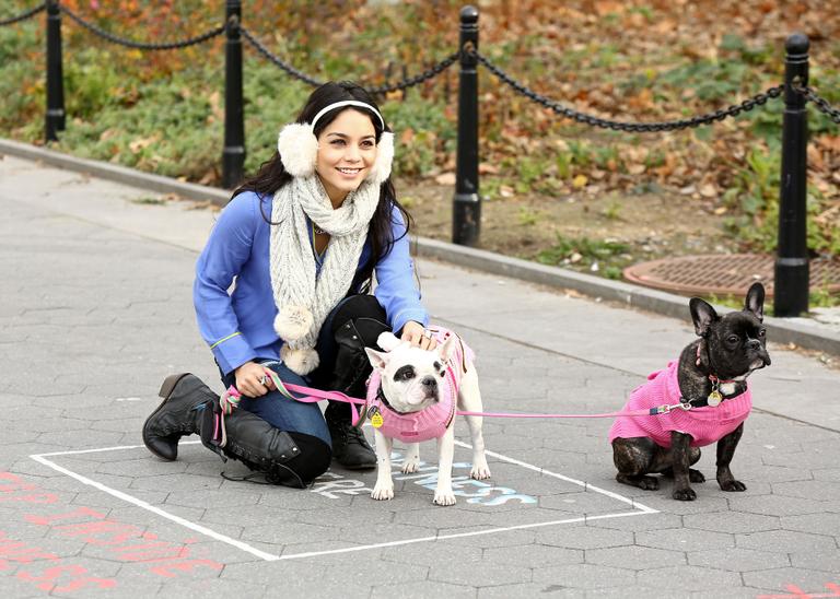 Fofura: Vanessa Hudgens com seus cães nas ruas de Nova York