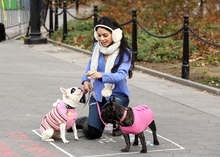 Fofura: Vanessa Hudgens com seus cães nas ruas de Nova York