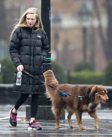 Amanda Seyfried curte passeio com seu cachorro pelas ruas de Nova York, Estados Unidos