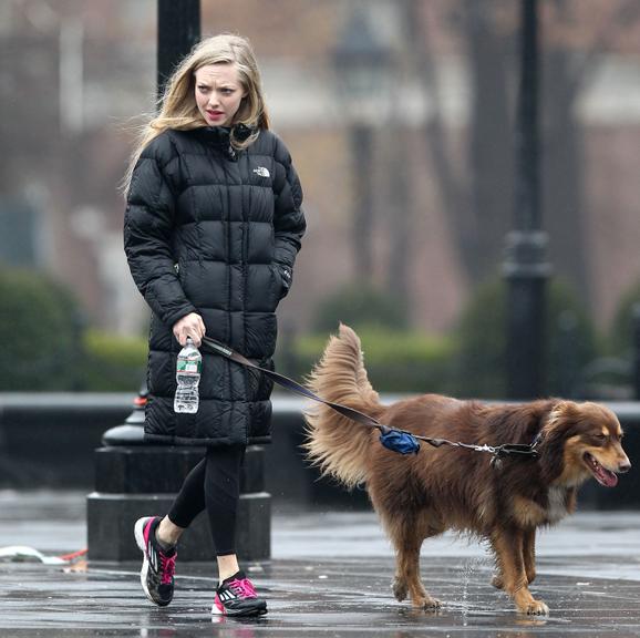 Amanda Seyfried curte passeio com seu cachorro pelas ruas de Nova York, Estados Unidos