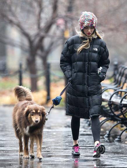 Amanda Seyfried curte passeio com seu cachorro pelas ruas de Nova York, Estados Unidos