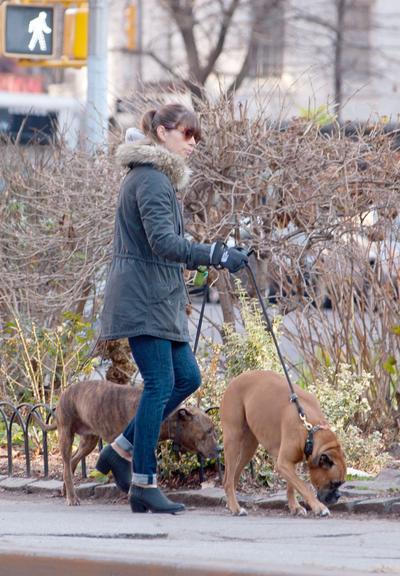 Jessica Biel passeia com seus cães por Nova York, Estados Unidos