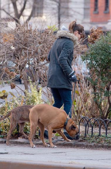 Jessica Biel passeia com seus cães por Nova York, Estados Unidos