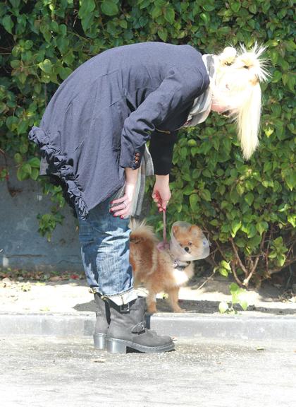 Gwen Stefani se seu pequeno Lulu da Pomerânia