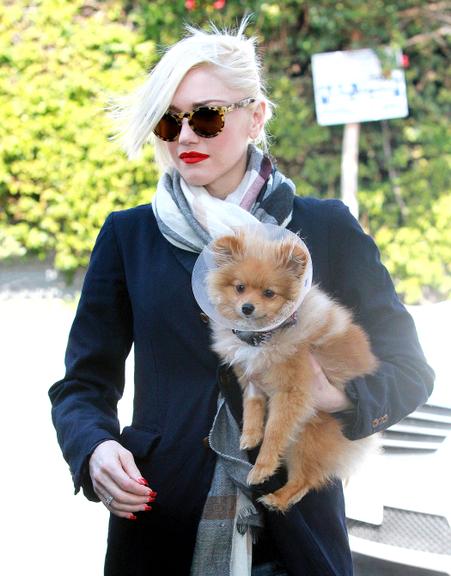 Gwen Stefani se seu pequeno Lulu da Pomerânia