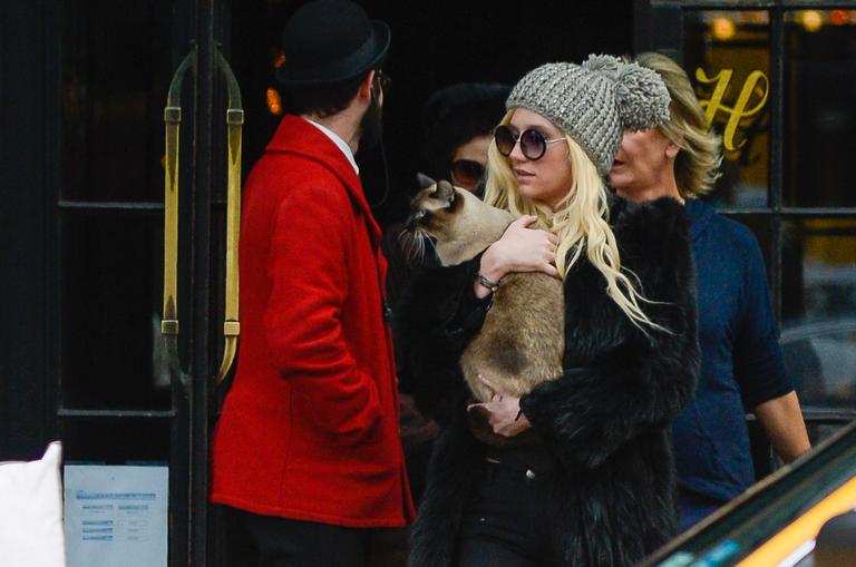 Ke$ha carrega seu gatinho por Nova York