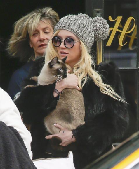 Ke$ha carrega seu gatinho por Nova York