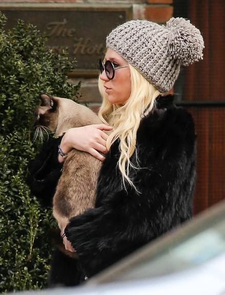 Ke$ha carrega seu gatinho por Nova York