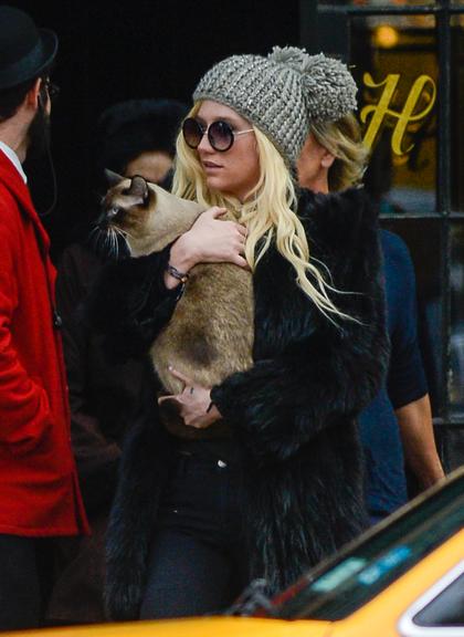 Ke$ha carrega seu gatinho por Nova York