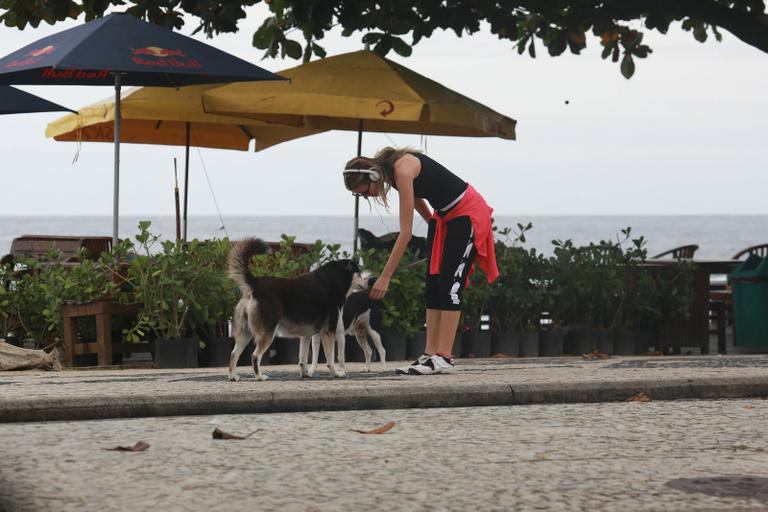 Ellen Jabour caminha com seu cachorro