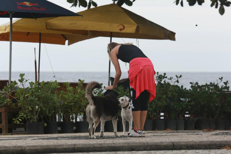 Ellen Jabour caminha com seu cachorro