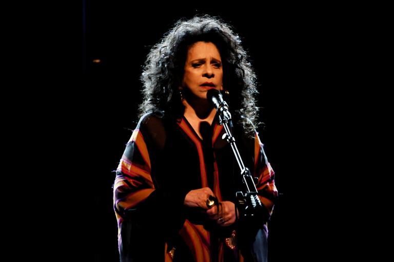 Em rara aparição, Gal Costa recebe o filho após show