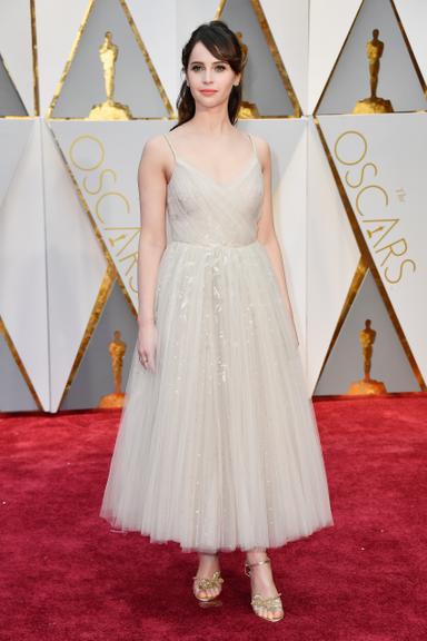 Veja os looks das celebridades no red carpet do Oscar 2017! 