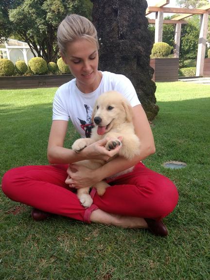 Ação do bem: Ana Hickmann adota cãozinho 