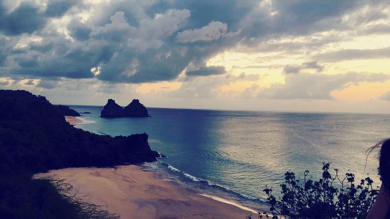 Fauna e flora exuberantes de Fernando de Noronha