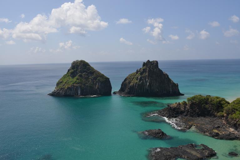 Fauna e flora exuberantes de Fernando de Noronha