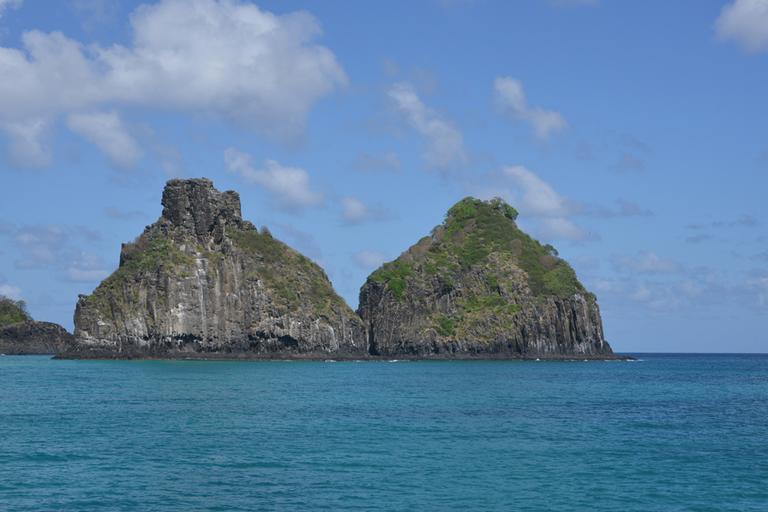 Fauna e flora exuberantes de Fernando de Noronha