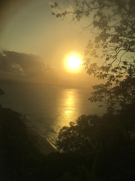 Fauna e flora exuberantes de Fernando de Noronha