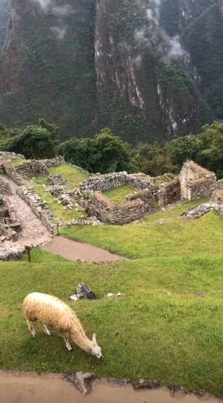 Grazi Massafera abre o álbum de viagem para Machu Picchu