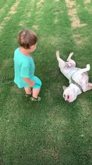 Gabriel brincando com os cachorros