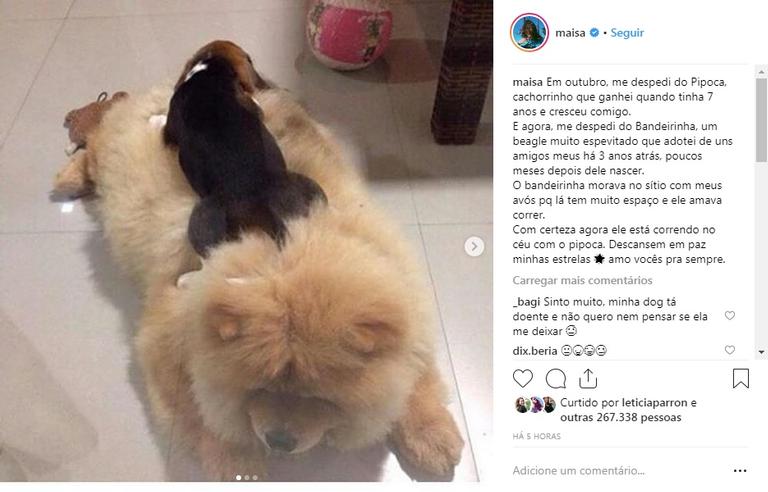 Maisa lamenta morte de mais um cãozinho