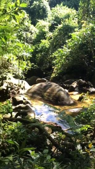 Michel Teló e Thais Fersoza aproveitam domingo na cachoeira