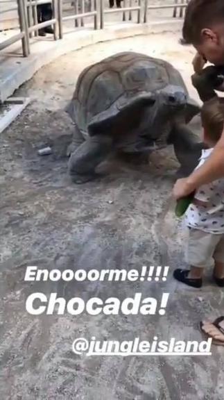 Thais Fersoza mostra o filhos se divertindo em zoológico