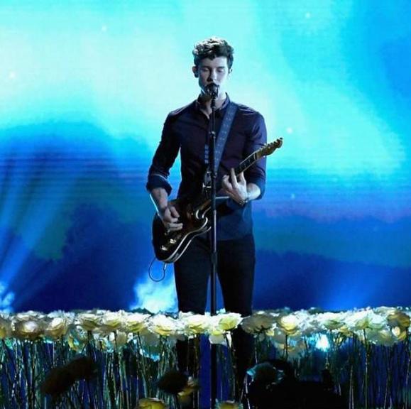 Show de Shawn Mendes