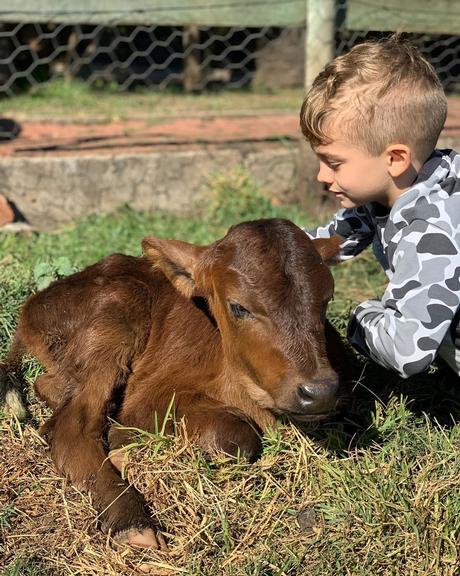 Ana Hickmann curte final de semana com a família no campo