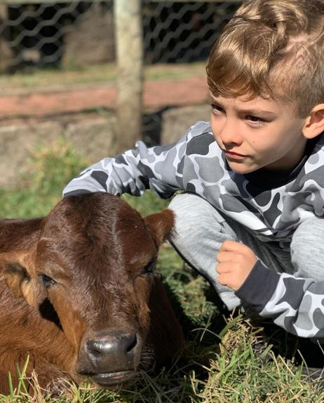 Ana Hickmann curte final de semana com a família no campo