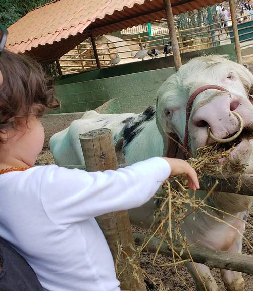 Sheron Menezzes e família