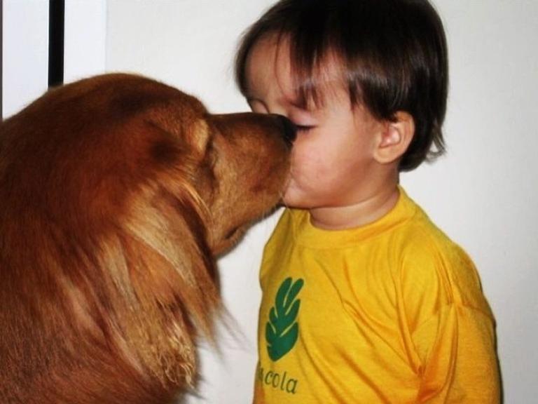 Fernanda Gentil postando homenagem emocionante para a cachorrinha, Nala