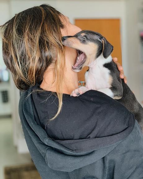 Bartô, cachorrinho de Maria Maya e Laryssa Ayres