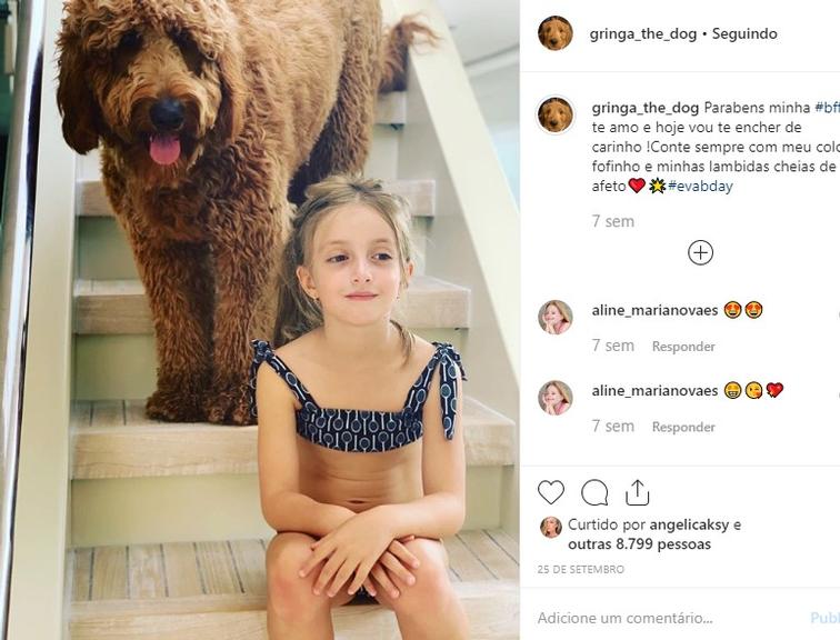 Cachorrinha de Angélica tem perfil fofo no Instagram